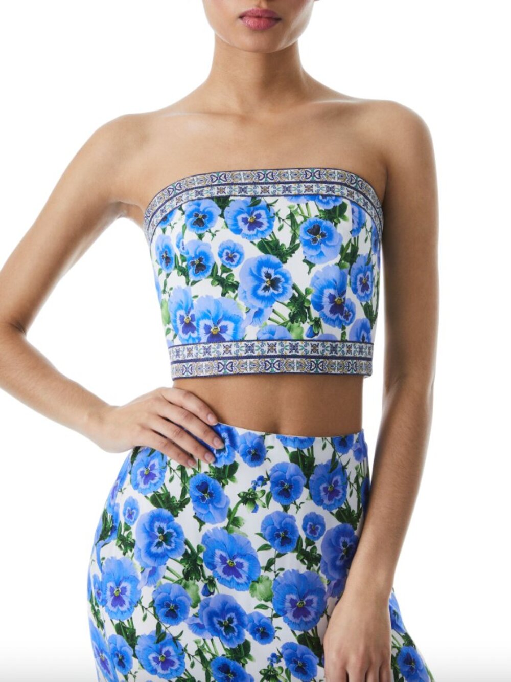 $250 Alice + Olivia Blue Perect Pansy Bandeau Ceresi Top size 12